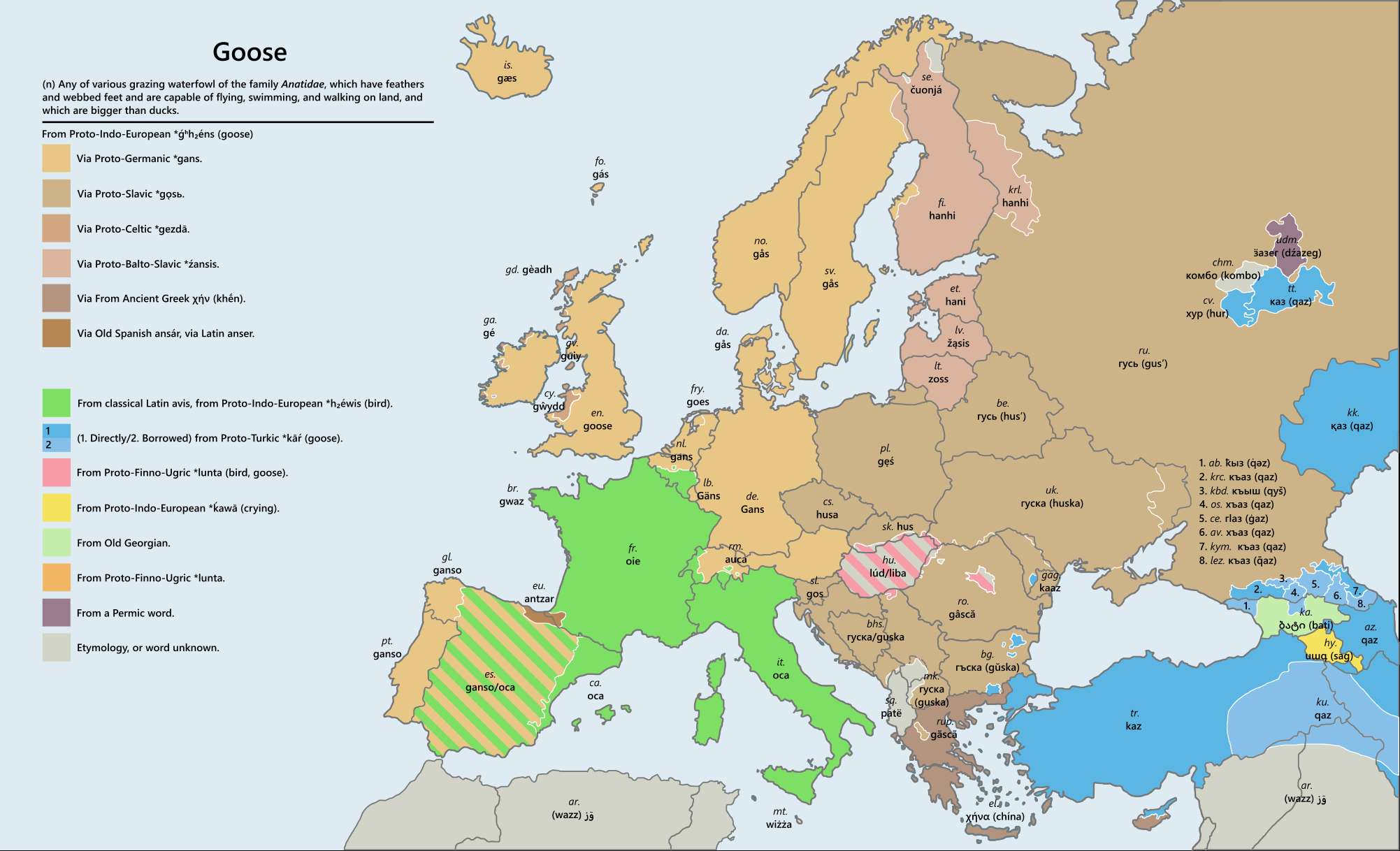 Etymology map for the word "goose"